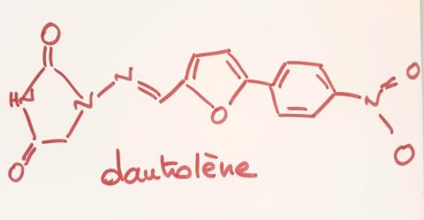 033_dantrolene.jpeg